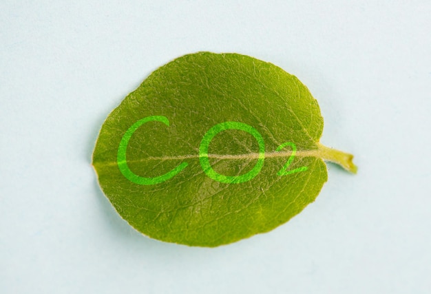 CO 2는 지구 CSR 개념 환경을 보호하고 보호하는 녹색 잎 위에 서 있습니다.