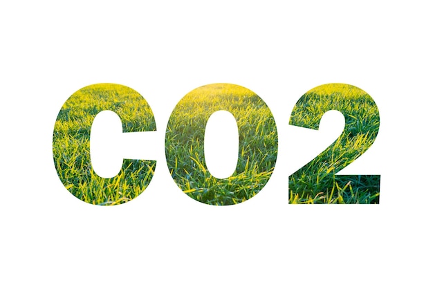 白地に緑と黄色の草の背景に「CO2」