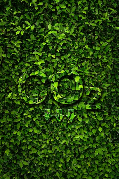 Знак углекислого газа СО2 и стрелки вниз на фоне зеленых листьев. Концепция сокращения СО2.