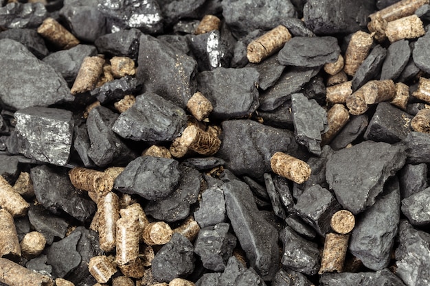 Coal and biomass pellet