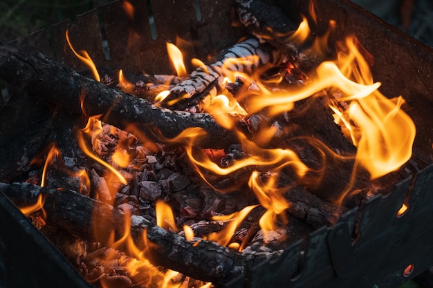 Coals of a campfire with flames close up photo