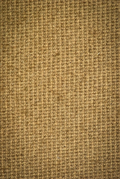 Coarse canvas fabric