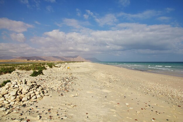 The coast of Indian ocean Socotra island Yemen