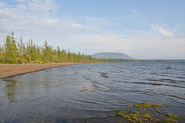 Coast of large lakes on the Putoran plateau