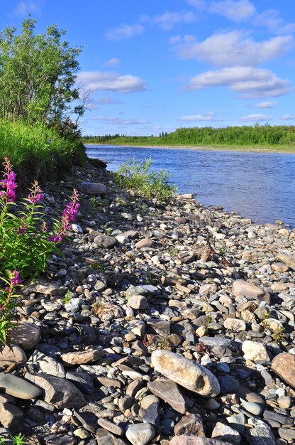 Coast North of the river in summer