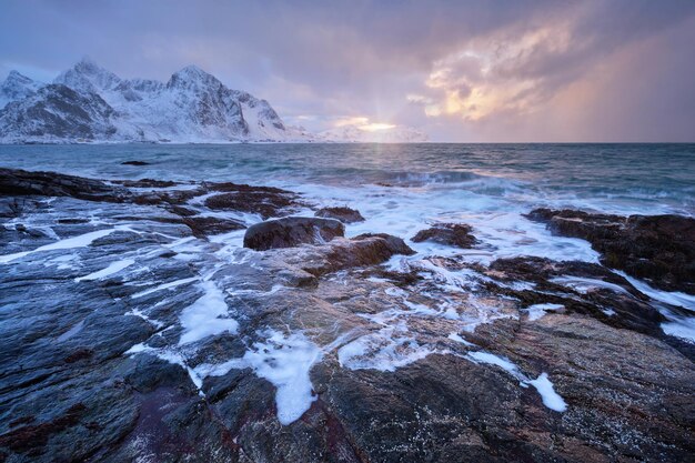 Coast of Norwegian sea on rocky coast in fjord on sunset