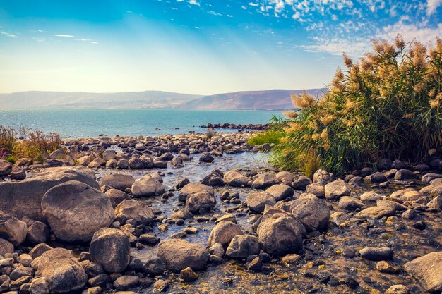 La costa del mar di galilea vicino alla cascata di ein eyov a tabgha israele