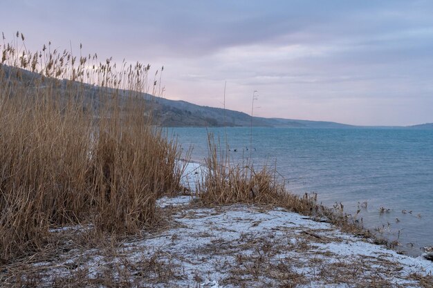 Coast of Tbilisi water reservoir in winter morning