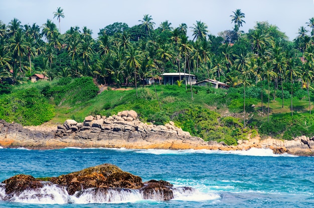 Photo coast of a tropical island with palm trees and a house