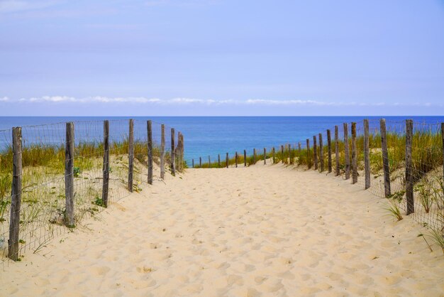 Забор дорожки песчаных дюн с доступом к береговой воде к океанскому пляжу атлантического побережья в Кап-Ферре во Франции