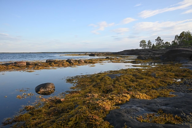 The coast of the White Sea