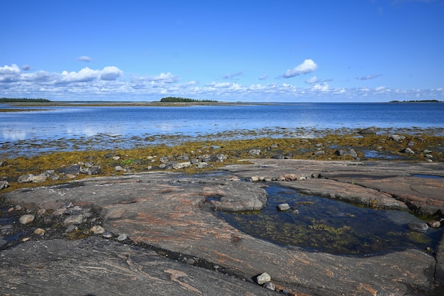 The coast of the White Sea