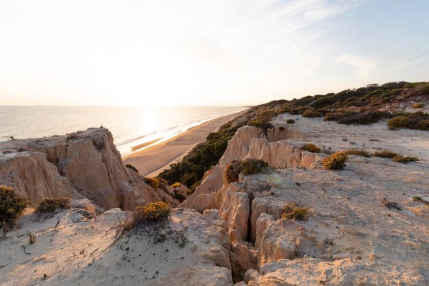 Photo coast with cliffs dunes pine trees green vegetationthe most beautiful beach in spain