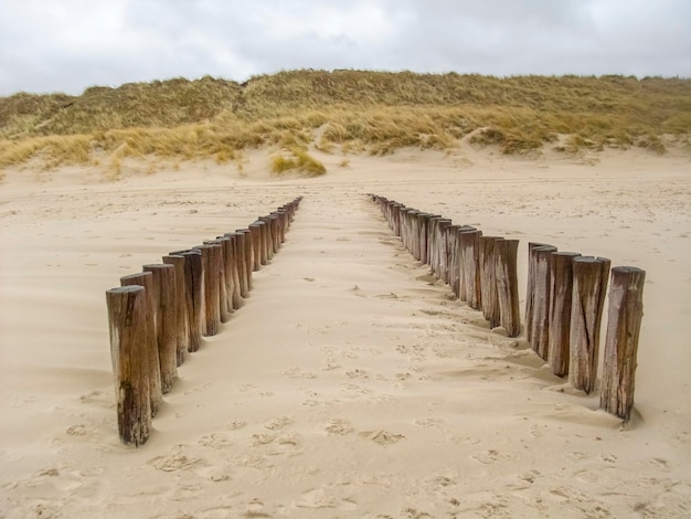 Photo coastal beach scenery