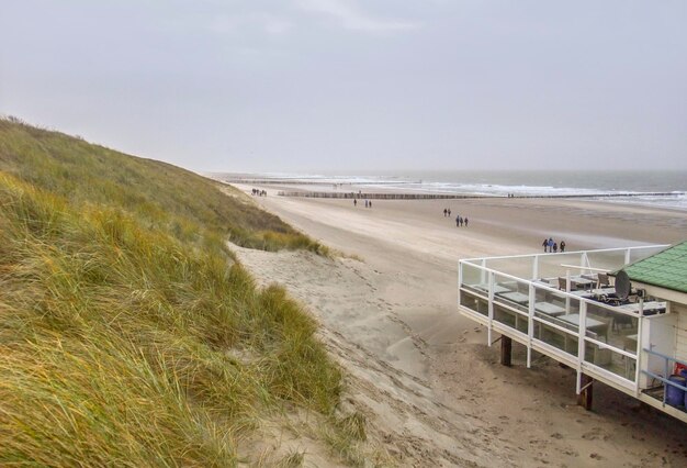 Photo coastal beach scenery