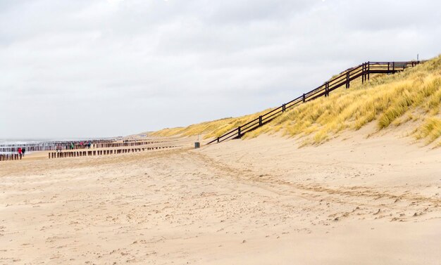 Photo coastal beach scenery