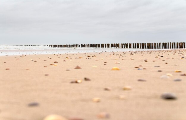 coastal beach scenery