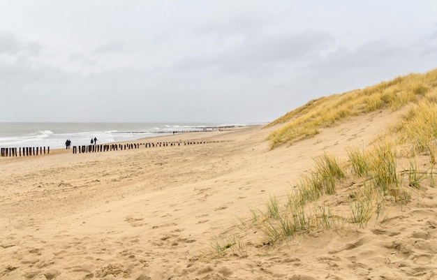 coastal beach scenery