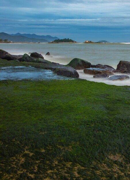 Photo coastal defence barrier vietnam