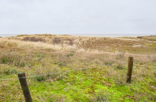 coastal dune scenery