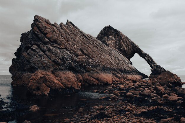 写真 沿岸の特徴