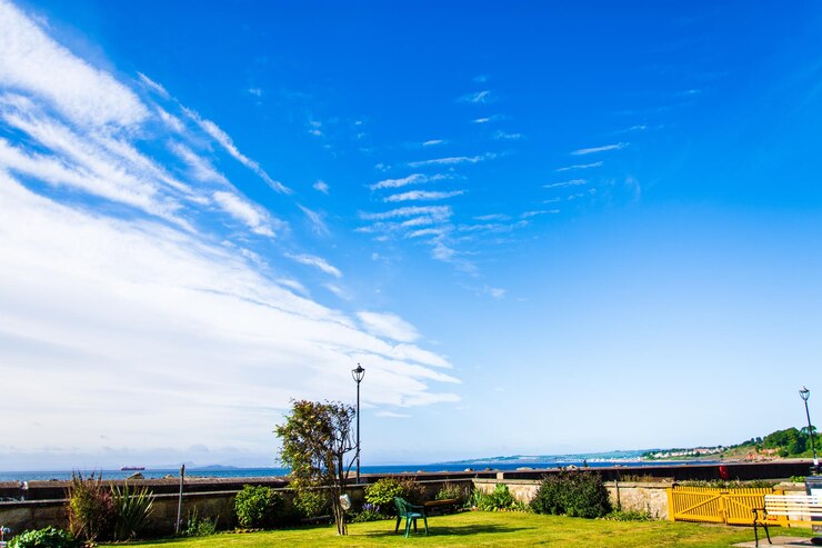 Photo 沿岸の庭園