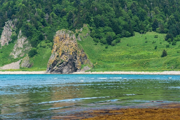 国後島の緑の海岸に美しい溶岩石が広がる海岸風景 干潮時の沿岸の藻類