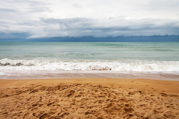 Coastal landscape with beaches clear blue waters palm trees Nature photography beach ocean sea coastline scenic tropical paradise relaxation scenery vacation travel