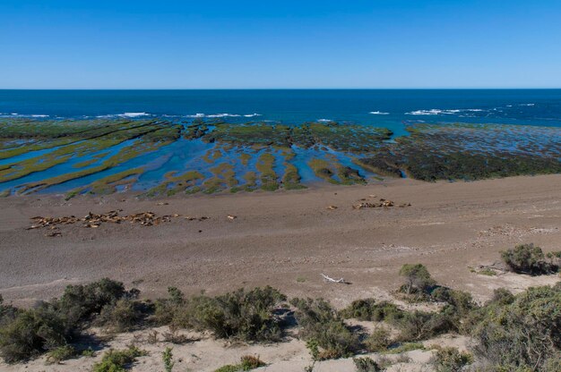 Coastal landscape with cliffs in Peninsula Valdes World Heritage Site Patagonia Argentina