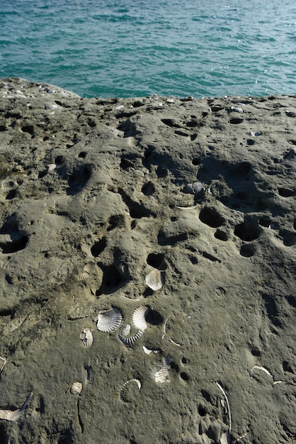 半島バルデス世界遺産パタゴニア アルゼンチンの崖と海岸の風景