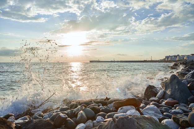 海藻で覆われた岩の上で波が砕ける暖かい夕方の光のある海岸の風景