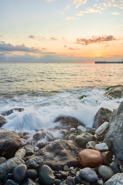 海藻で覆われた岩の上で波が砕ける暖かい夕方の光のある海岸の風景