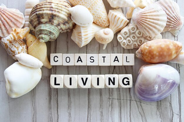 Foto blocchi costieri e abitativi con conchiglie marine su tavola