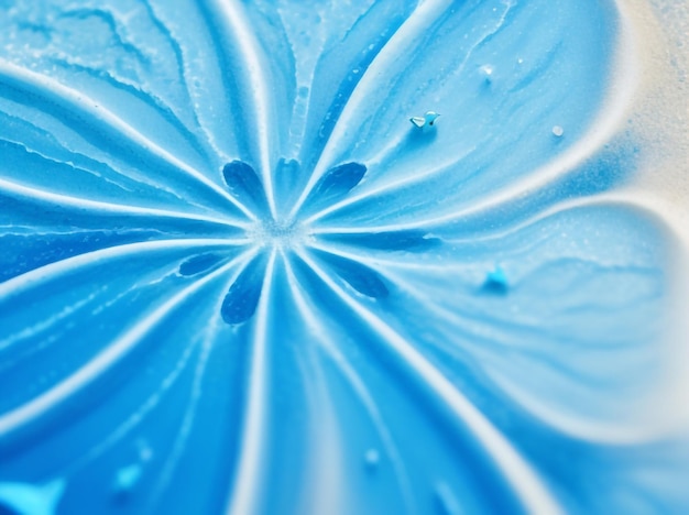 Foto coastal radiance sand dollar color gradient met defocused blurred tranquility