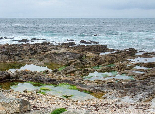 coastal scenery in Brittany