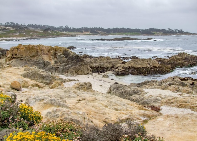 coastal scenery in California