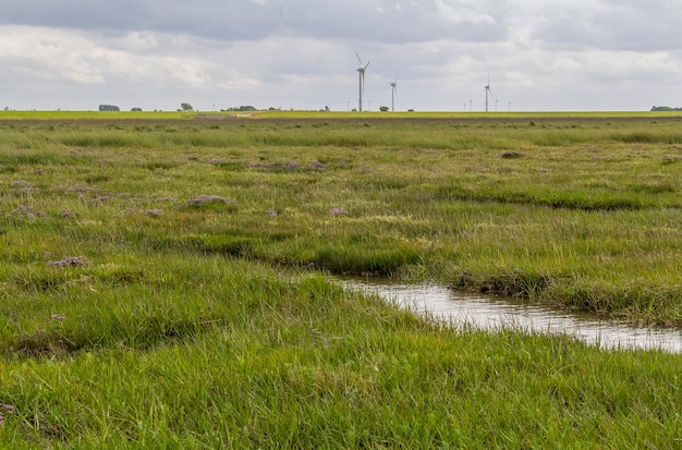 Photo coastal scenery in eastern frisia