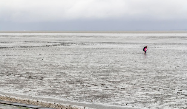 Photo coastal scenery in eastern frisia