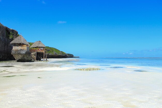 Fascia costiera in riva al mare a zanzibar tanzania africa