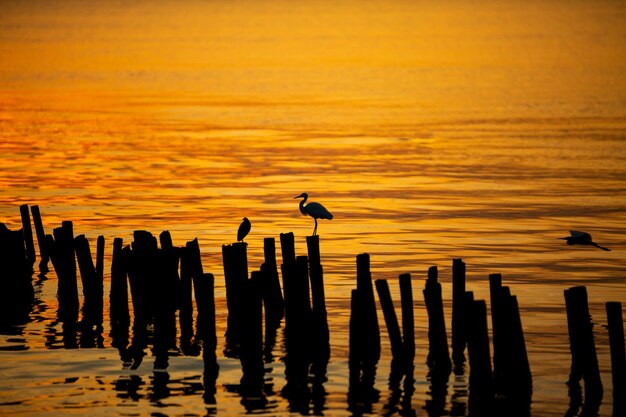 Coastal sunset