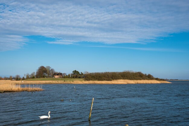 Coastline of Denmakr on a spring day