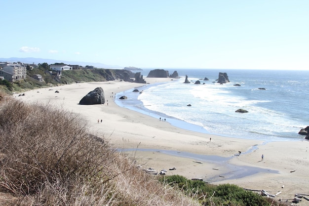 Coastline of oregon