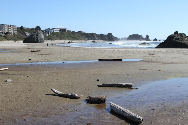 Coastline of oregon