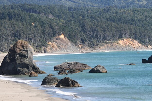 Coastline of oregon