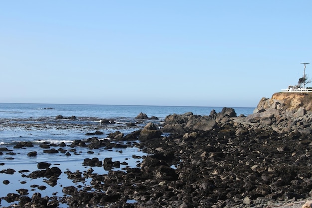 Coastline of oregon