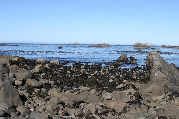 Coastline of oregon