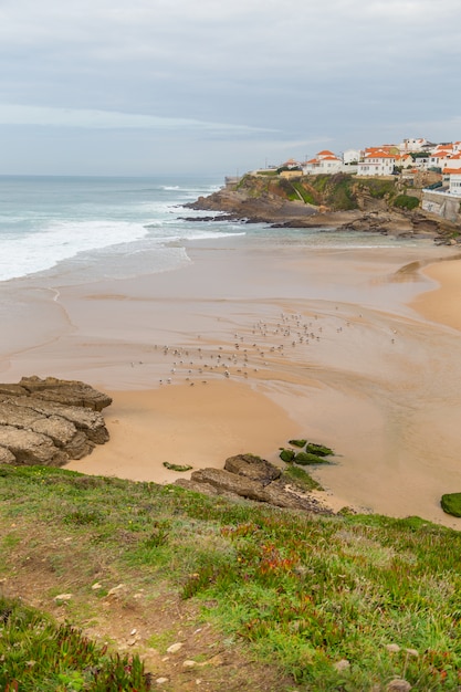 Coastline with stones, plants and surfs in cloudy day