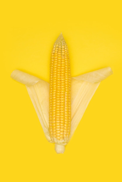 Cob of corn on yellow background.