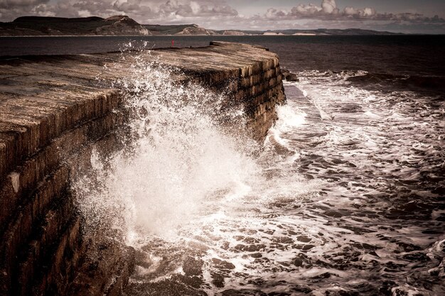 Photo the cobb harbour wall in lyme regis