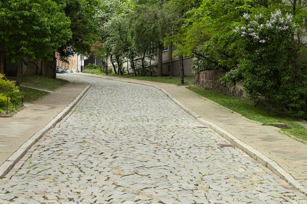 The cobbled street of the old city with green trees rises up City street in the center of the old city